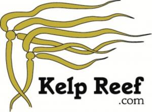 Kelp Reef Adventures