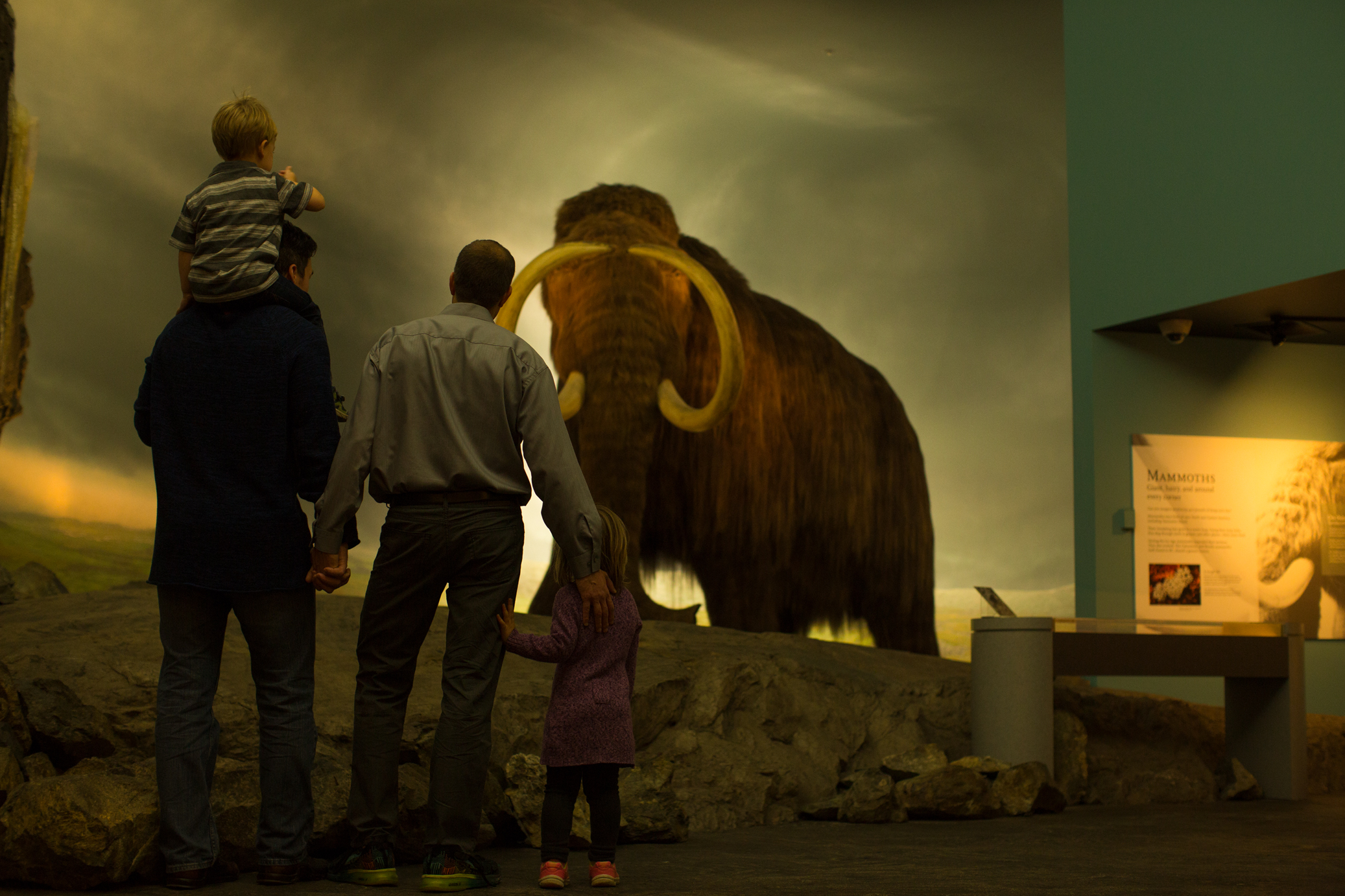 Young family admires wooly the mammoth at the Royal BC Museum